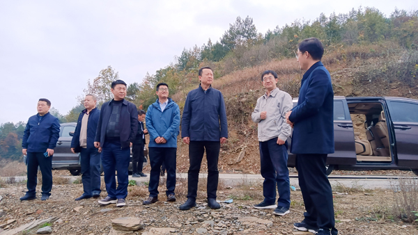 陜西科技控股集團(tuán)有限責(zé)任公司黨委副書記、總經(jīng)理周吉峰一行赴紫陽縣蒿坪鎮(zhèn)調(diào)研鄉(xiāng)村振興示范鎮(zhèn)建設(shè)工作并看望慰問掛職干部